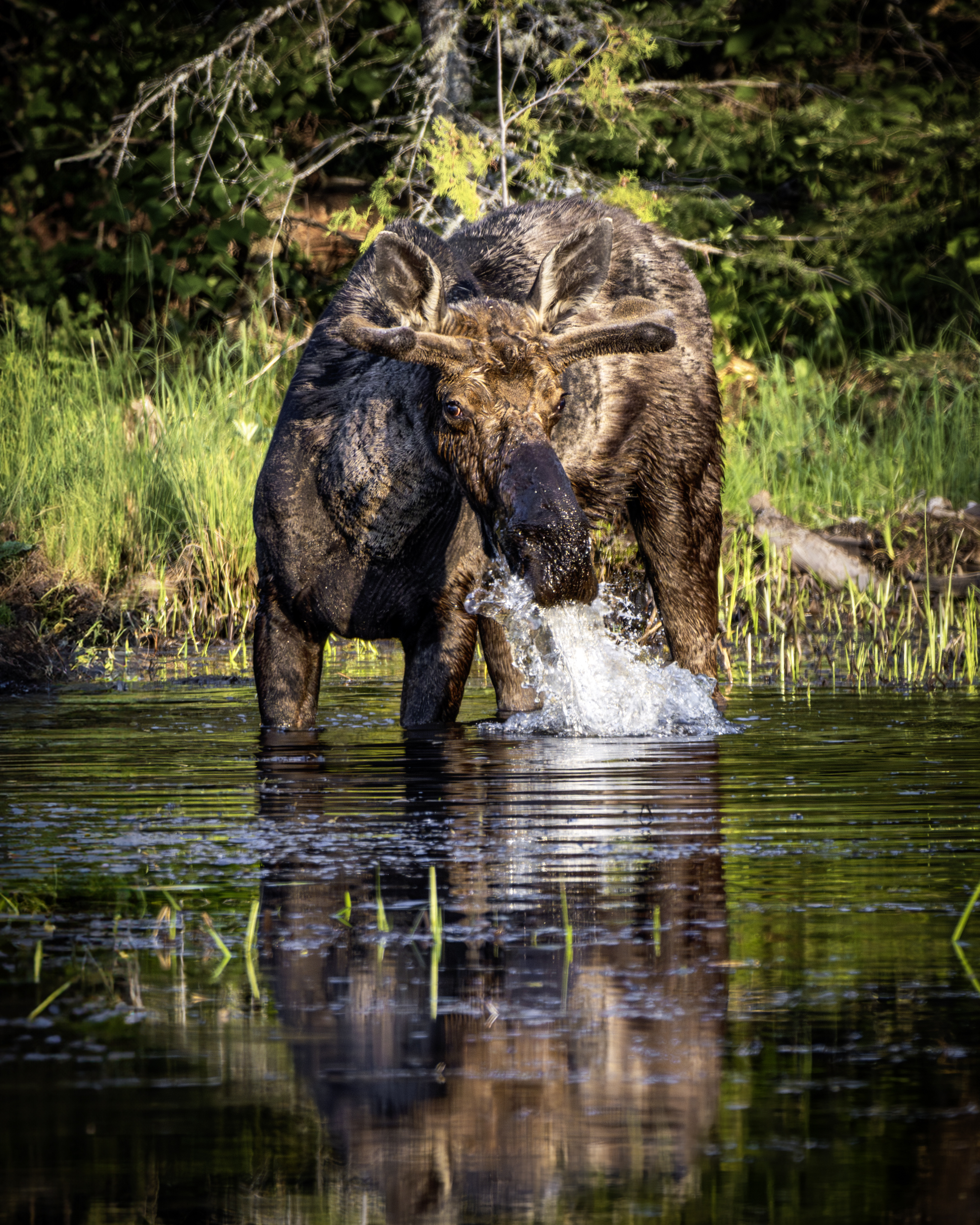 Alaska wilderness photography